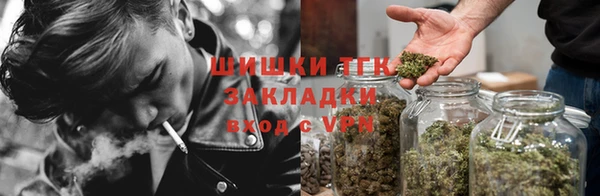 мяу мяу мука Баксан