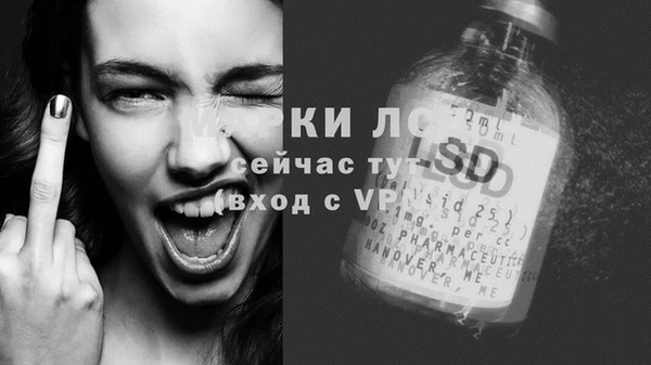 мяу мяу мука Баксан
