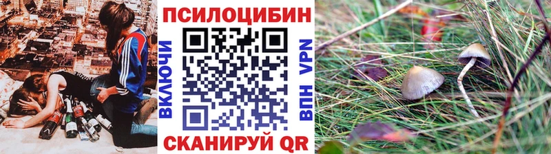 закладки  Баксан  Галлюциногенные грибы MAGIC MUSHROOMS 